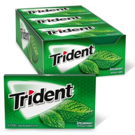 Trident Spearmint Sugar Free Gum,14 Pieces