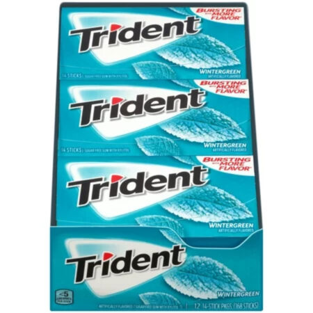 Trident Wintergreen Sugar Free Gum,  14 Pieces