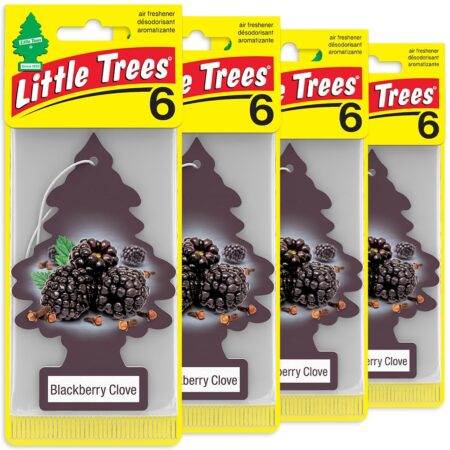 Little Trees Air Fresheners Black Berry Clove