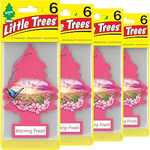 Little Trees Air Fresheners Morning Fresh