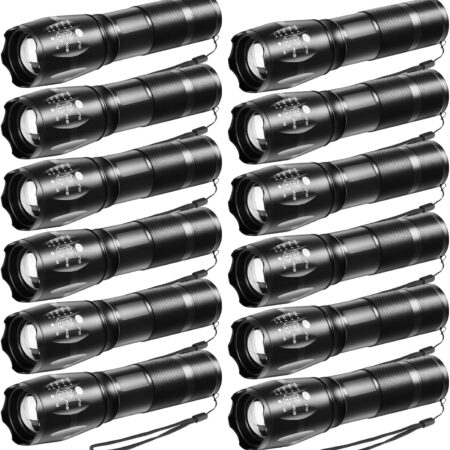 Everyday LED Flash light 12ct