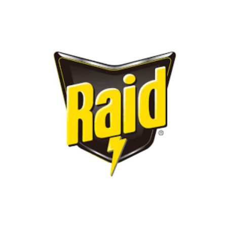 Raid